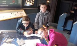 Classe Decouverte   033